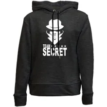 Детское худи без начеса Team Secret