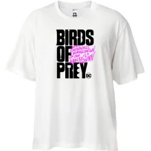 Футболка Oversize Birds of Prey DC