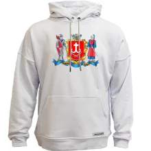 Худи без начеса Герб города Винница