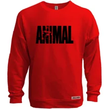 Свитшот без начеса Animal