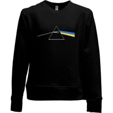 Детский свитшот без начеса Pink Floyd UA