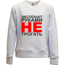 Детский свитшот без начеса Экспонат руками не трогать