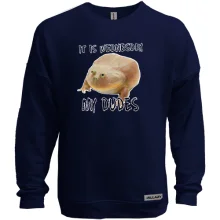 Свитшот без начеса It is wednesday, my dudes