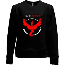 Детский свитшот без начеса Team Valor