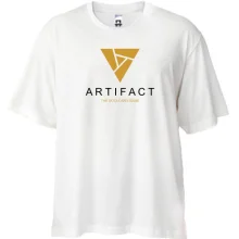 Футболка Oversize ARTIFACT
