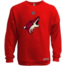 Свитшот без начеса Phoenix Coyotes