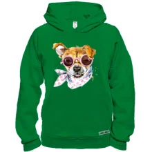 Худи BASE с Чихуахуа в очках (1)