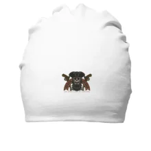 Хлопковая шапка Black Beard