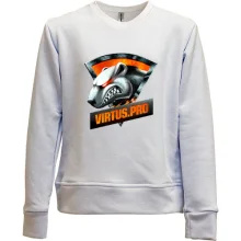 Дитячий світшот без начосу Virtus.pro HD