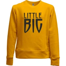 Детский свитшот без начеса Little Big logo