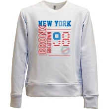Детский свитшот без начеса New York 98