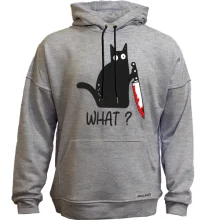 Худи без начеса What cat