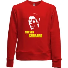 Детский свитшот без начеса Gerrard силуэт