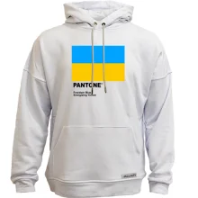 Худи без начеса PANTONE Freedom blue, energizing yellow
