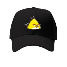 Дитяча кепка Yellow bird