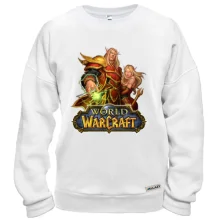 Свитшот World of Warcraft (2)