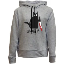 Детское худи без начеса What cat