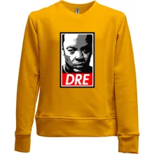 Детский свитшот без начеса с Dr Dre