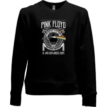 Детский свитшот без начеса "Pink Floyd"