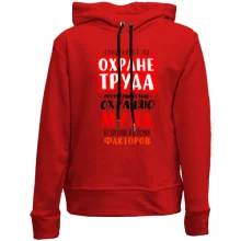 Детское худи без начеса Специалист по охране труда