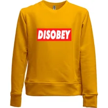 Детский свитшот без начеса Disobey