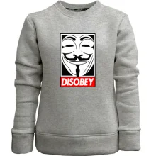 Детский свитшот без начеса Disobey ananymus