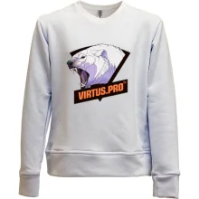 Дитячий світшот без начосу Virtus.pro HD 2