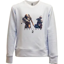Детский свитшот без начеса Destiny 2