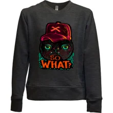 Детский свитшот без начеса с котом So what?