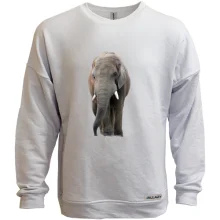 Світшот без начосу з великим слоном (1)
