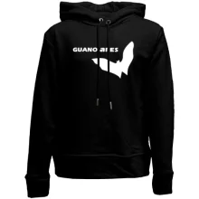 Детское худи без начеса Guano Apes Logo