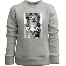 Детский свитшот без начеса Rawr кот