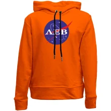 Детское худи без начеса Лев (NASA Style)