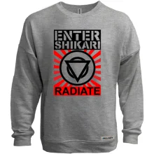 Свитшот без начеса Enter Shikari Radiate