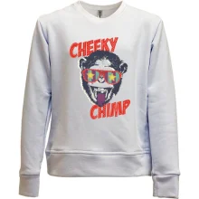 Детский свитшот без начеса cheeky chimp monkey