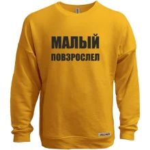 Свитшот без начеса с надписью "Малый повзрослел"