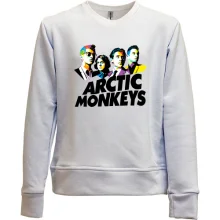 Детский свитшот без начеса Arctic monkeys (АРТ)