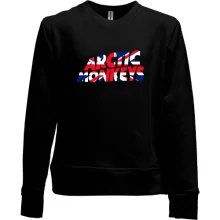Детский свитшот без начеса Arctic monkeys (флаг)