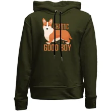 Детское худи без начеса Chaotic good boy