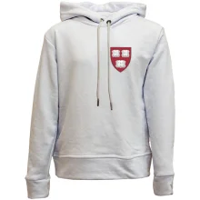 Детское худи без начеса Harvard logo mini