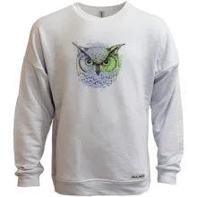 Свитшот без начеса Art Owl