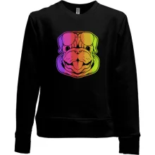 Детский свитшот без начеса Rainbow Dog