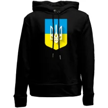 Детское худи без начеса с Тризубом на фоне украиского флага