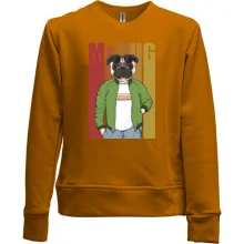 Детский свитшот без начеса Mr Pug
