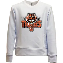Детский свитшот без начеса Tigers