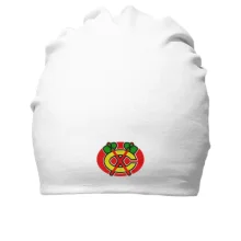 Хлопковая шапка с вышитыми томагавками Chicago Blackhawks (Вышивка)