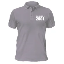 Футболка поло На земле с 2001