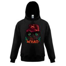 Детская толстовка с котом So what?