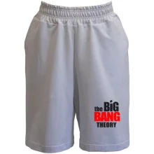 Шорты The Big Bang Theory