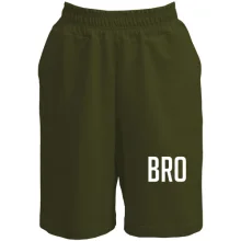 Шорты BRO